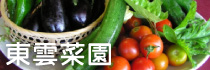 東雲菜園