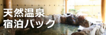 天然温泉宿泊パック