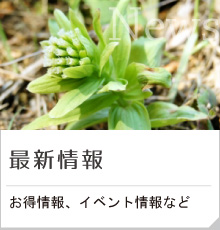 最新情報・イベント