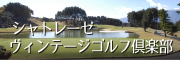 ヴィンテージGC
